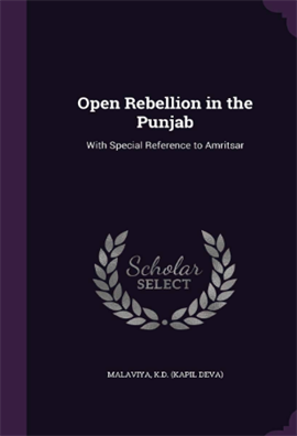 Open Rebellion in the Punjab with Special Reference to Amritsar